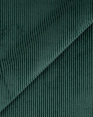 velours côtelé vert